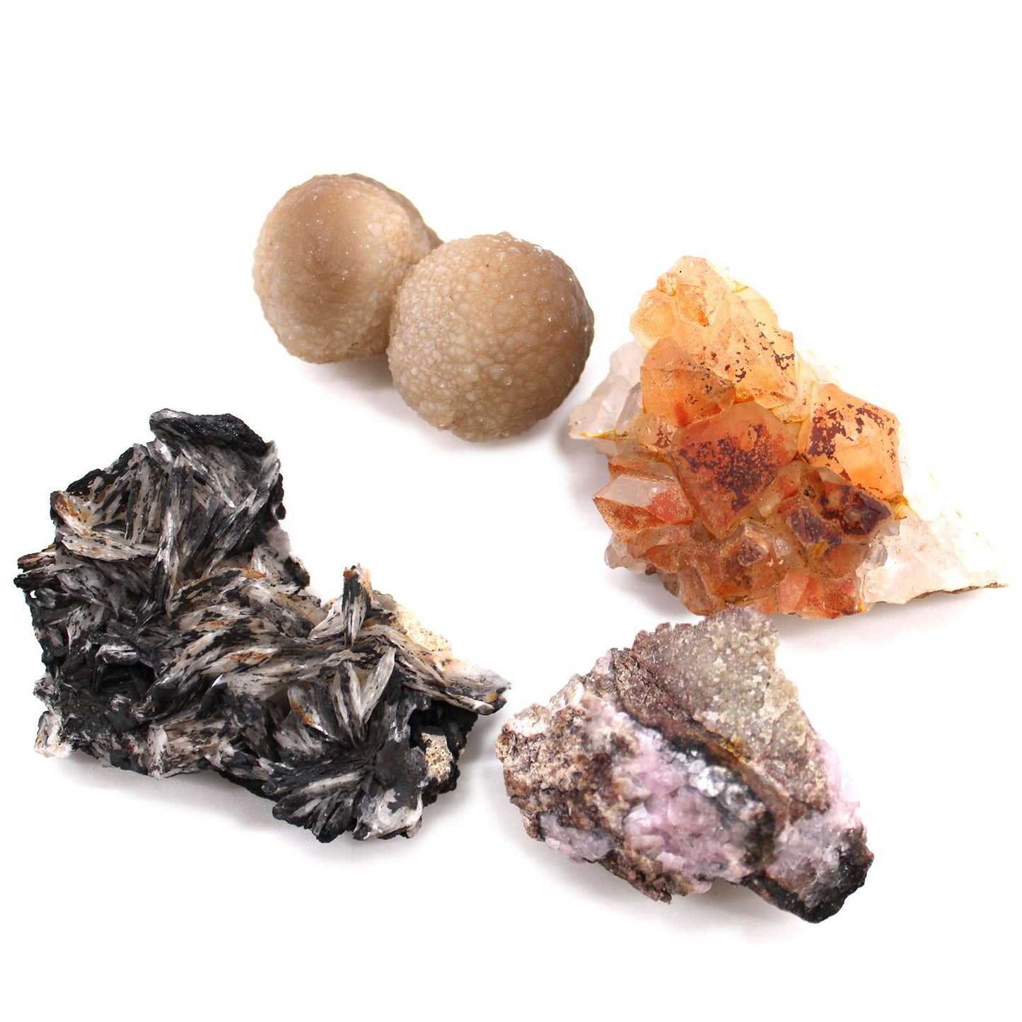 Sammlerbox mit 24 einzigartigen Mineralien – Naturschätze der Erde