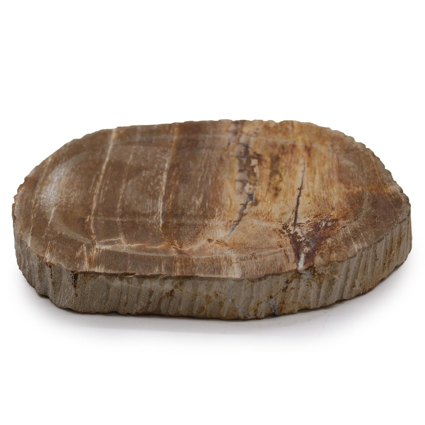 Seifenschale aus versteinertem Holz – Einzigartiges Naturstein-Accessoire in warmem Braun