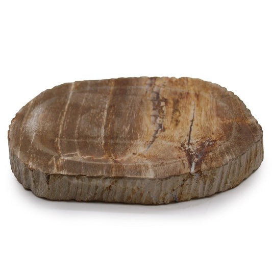 Seifenschale aus versteinertem Holz – Einzigartiges Naturstein-Accessoire in warmem Braun