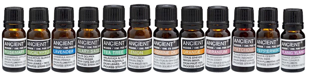 Aromatherapie-Set Premium: 12 ätherische Öle in handgeschnitzter Mangoholz-Box