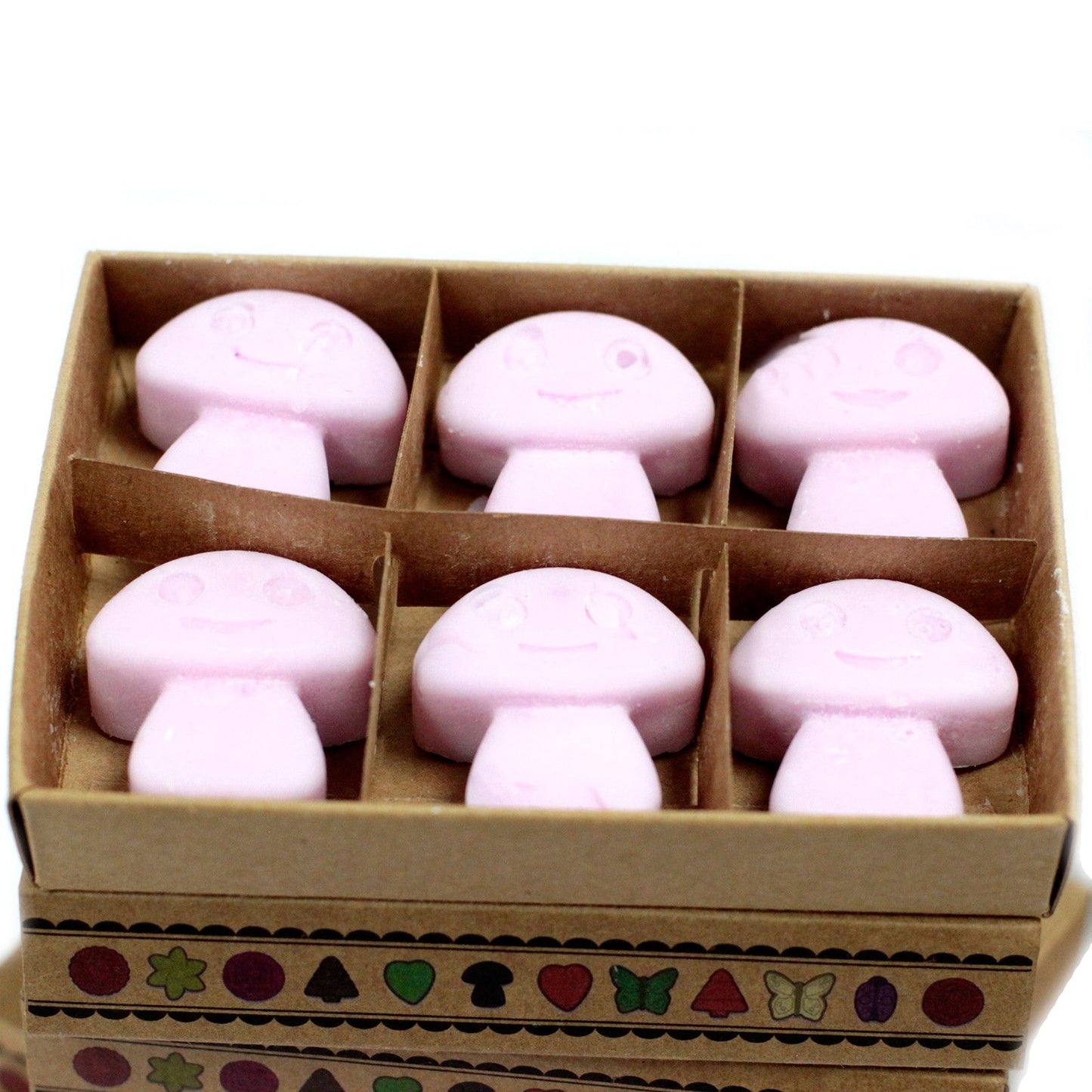 Geschenkbox Ylang Ylang - 6 Duftwachs-Stücke für die Duftlampe