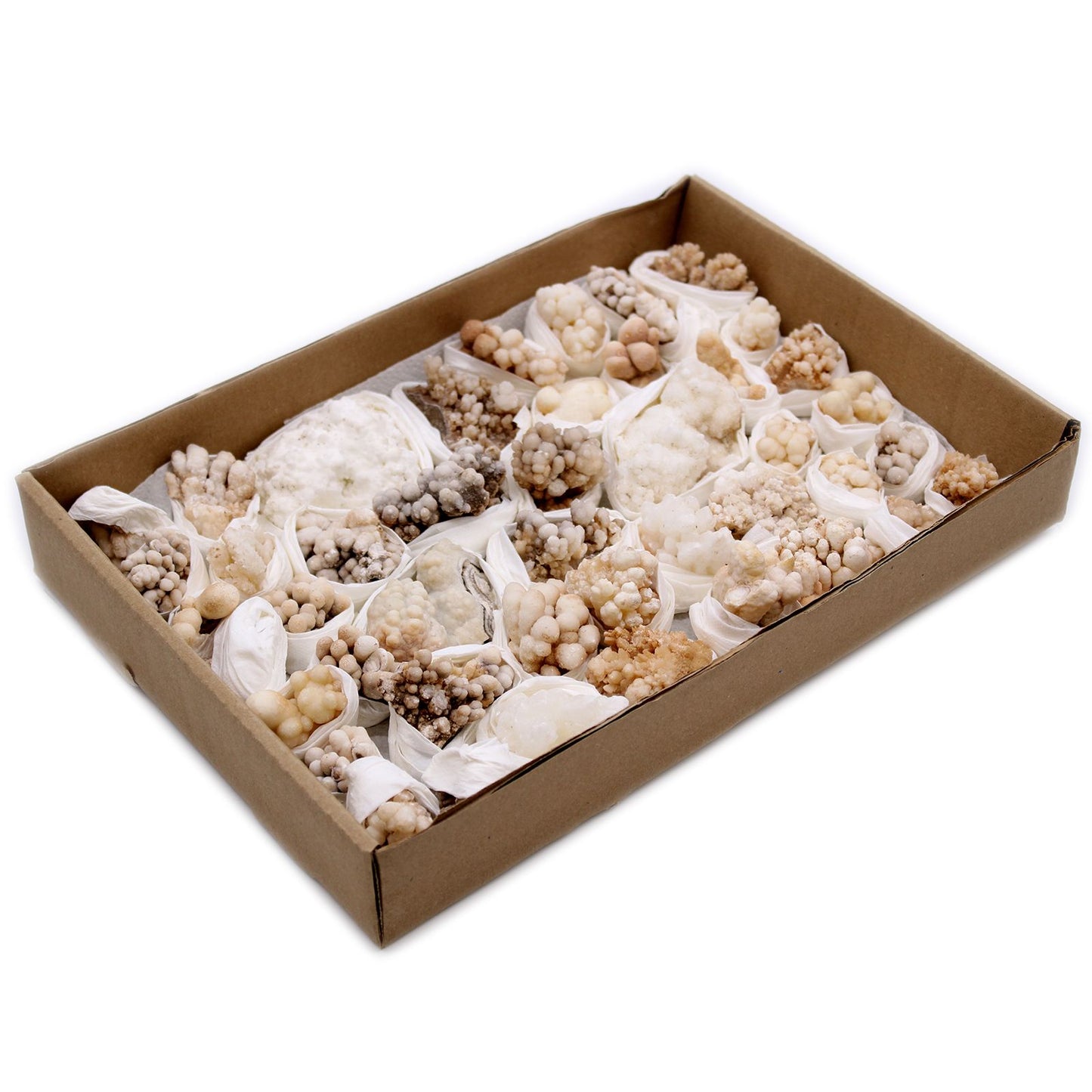 Blütencalcit Sammlerstücke - 20 natürliche Mineralien in Blütenform