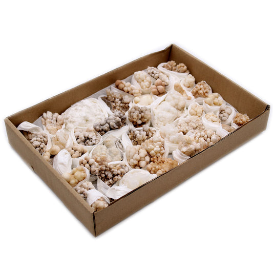 Blütencalcit Sammlerstücke - 20 natürliche Mineralien in Blütenform