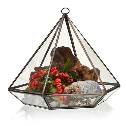 Glasterrarium 'Kristall-Diamant' mit Messingrahmen - Moderner Pflanzendekor