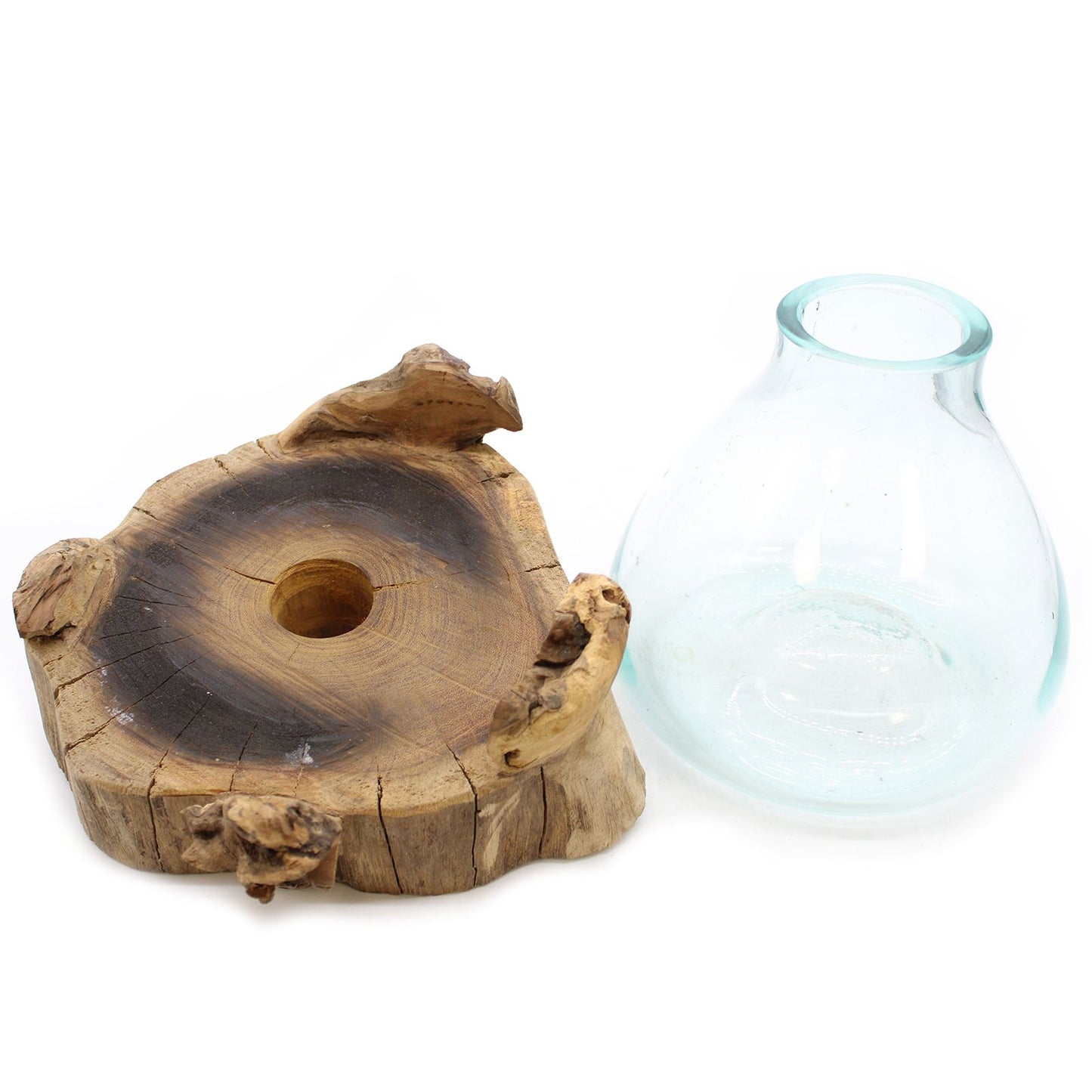 Terrarium mit LED-Beleuchtung – Handgeblasenes Glas auf Wurzelholz