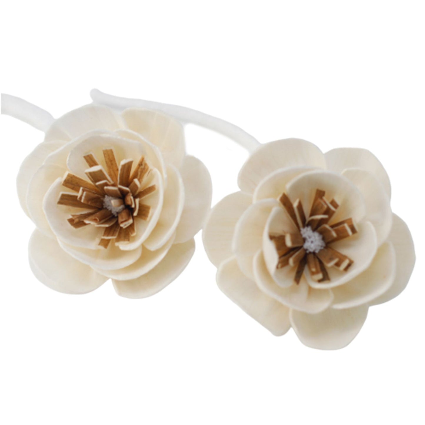 Natürliche Duftblüte Mohn – Solaholz-Diffusor mit Baumwollschnur, 6 cm