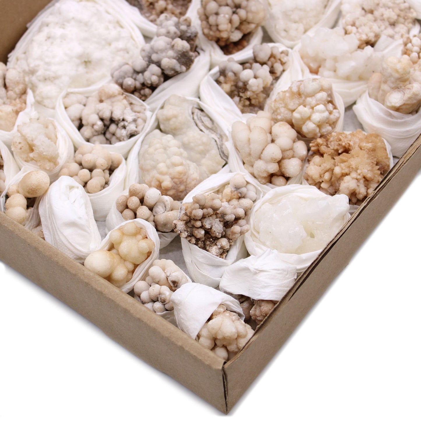 Blütencalcit Sammlerstücke - 20 natürliche Mineralien in Blütenform