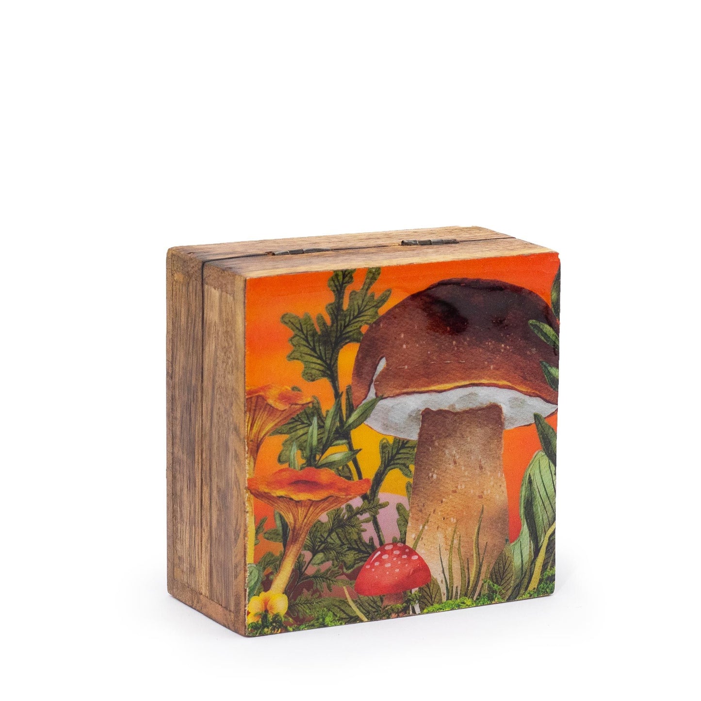 Handbemalte Mangoholz-Box mit Pilzmotiv – 10x10x4,2 cm in Kastanienbraun