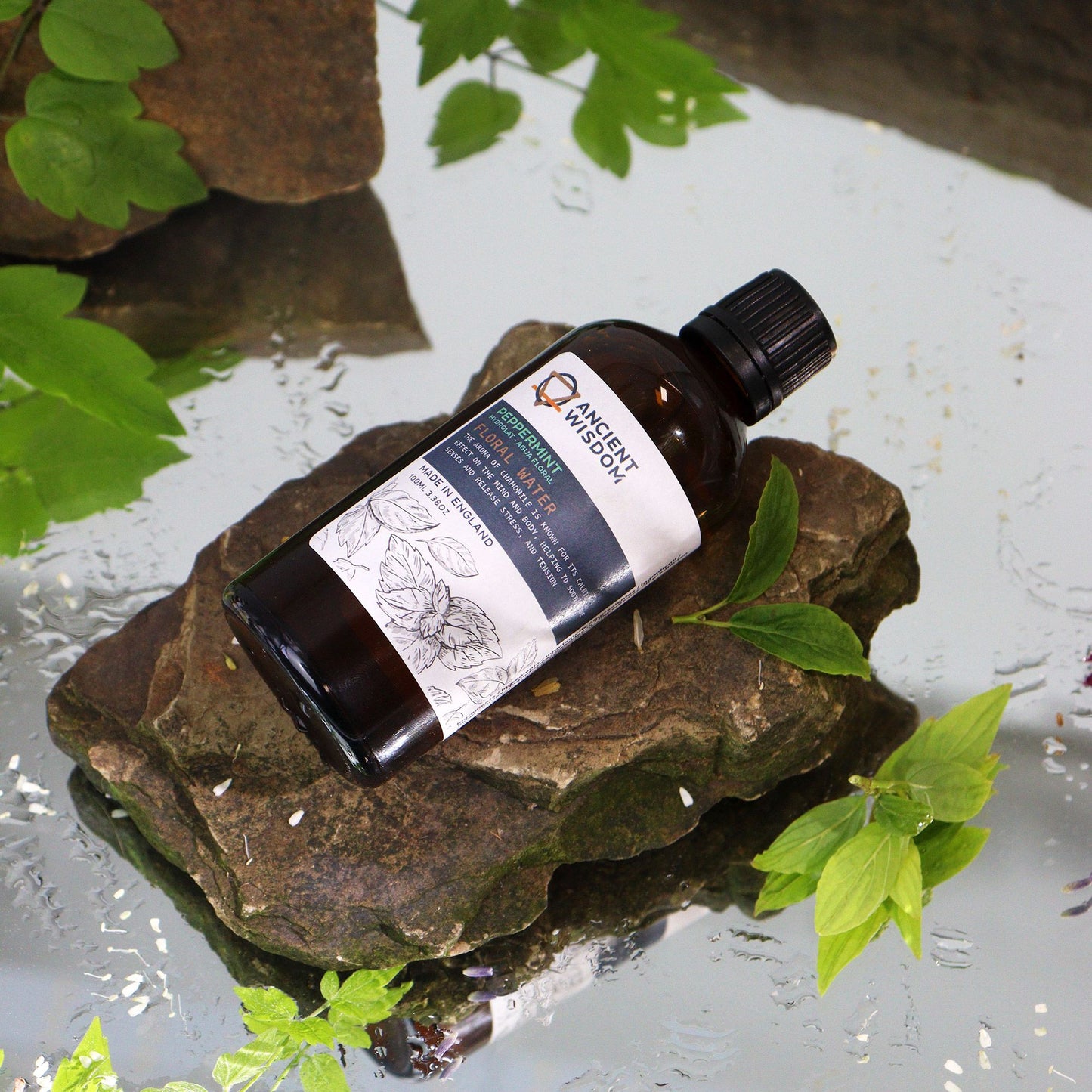 Pfefferminze Hydrolat Spray – Natürlicher Frische-Kick für Haut & Sinne
