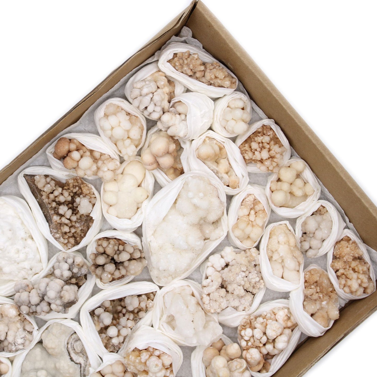 Blütencalcit Sammlerstücke - 20 natürliche Mineralien in Blütenform