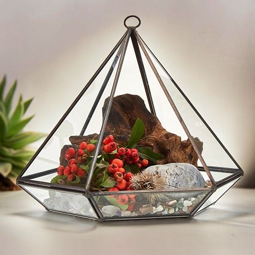 Glasterrarium 'Kristall-Diamant' mit Messingrahmen - Moderner Pflanzendekor