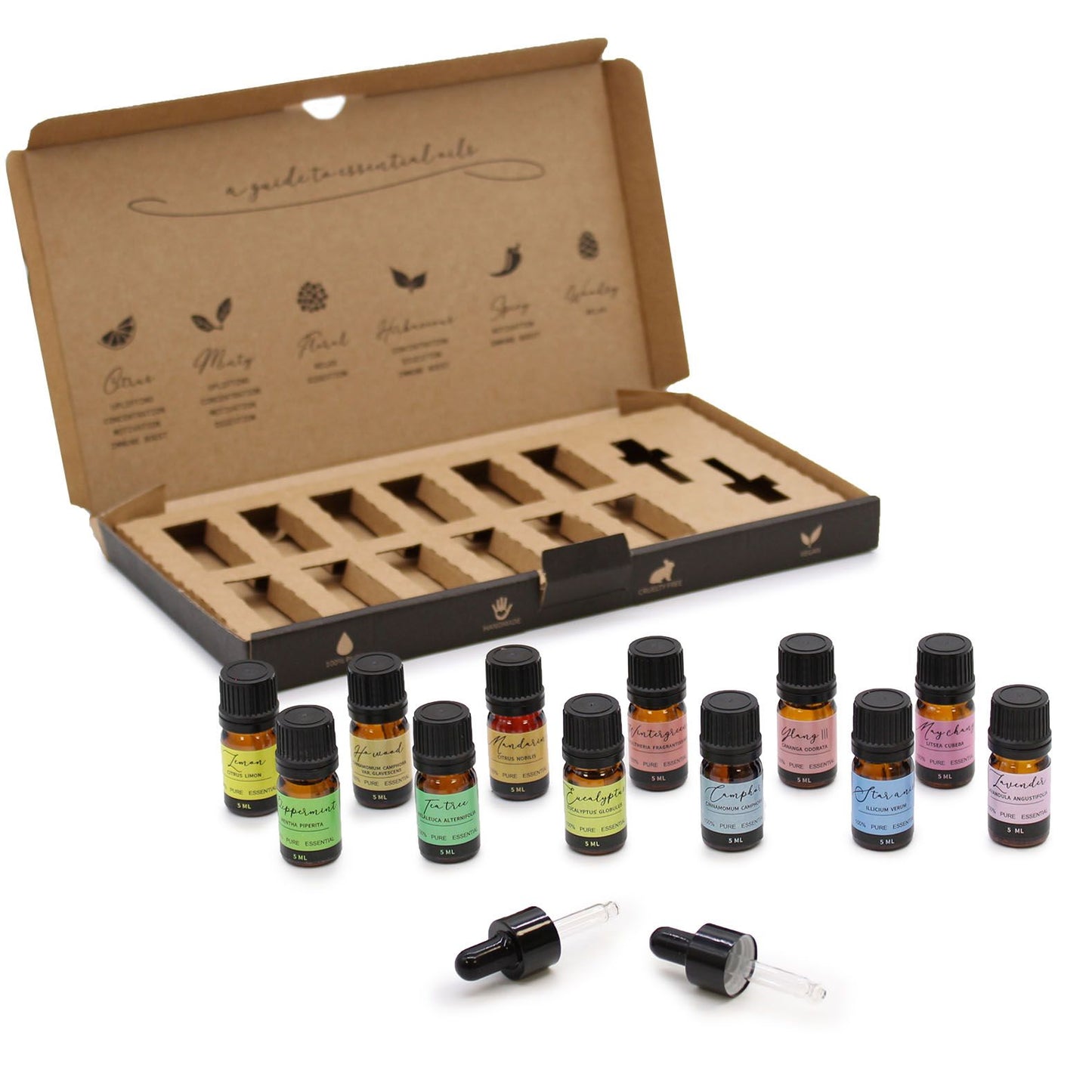 Premium Aromatherapie Set Einsteiger – 12 naturreine ätherische Öle