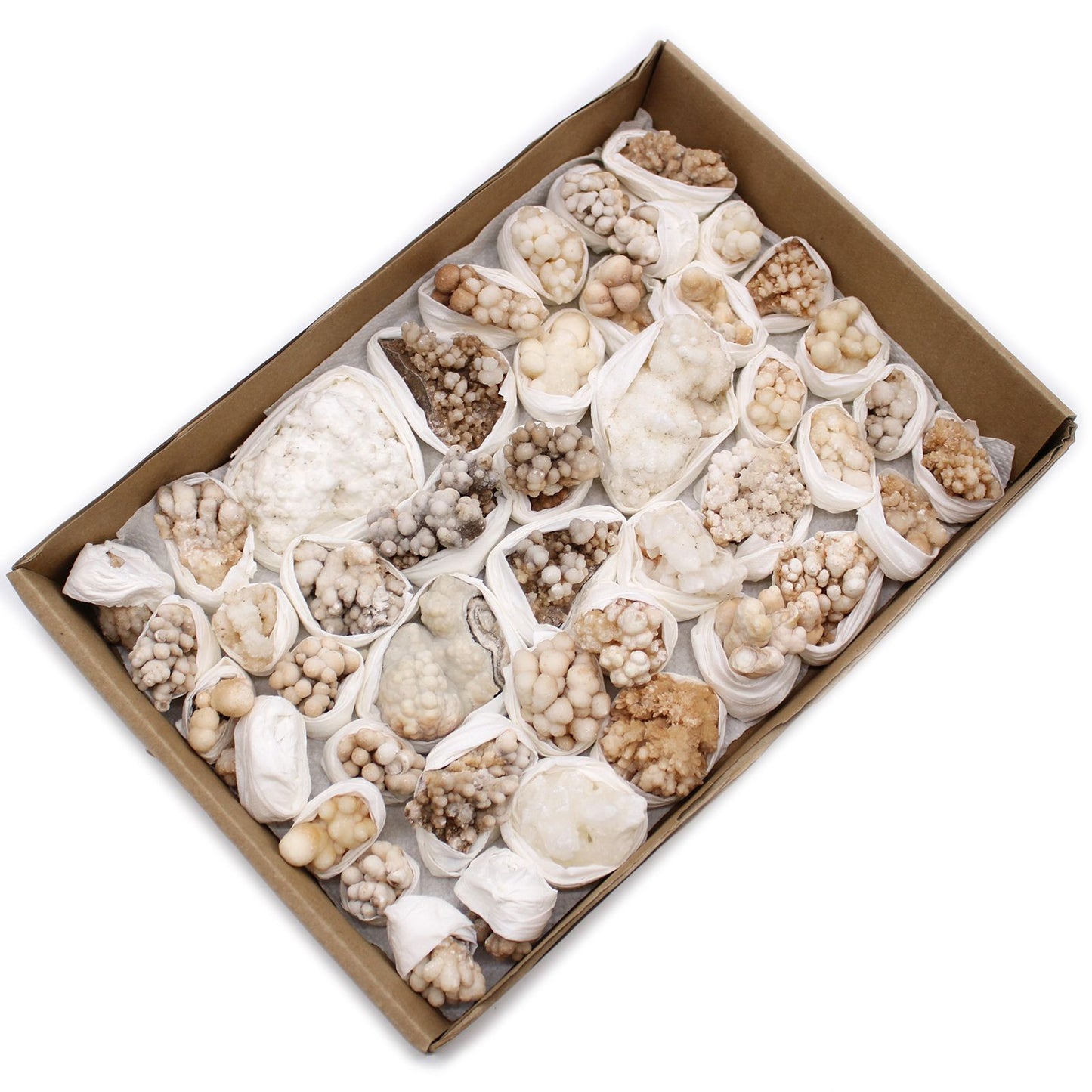 Blütencalcit Sammlerstücke - 20 natürliche Mineralien in Blütenform