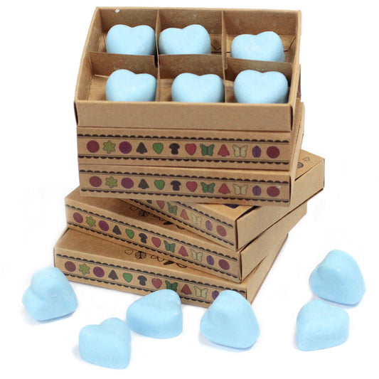 Geschenkset Duftwachs Dewberry - 6 Stück in Geschenkbox