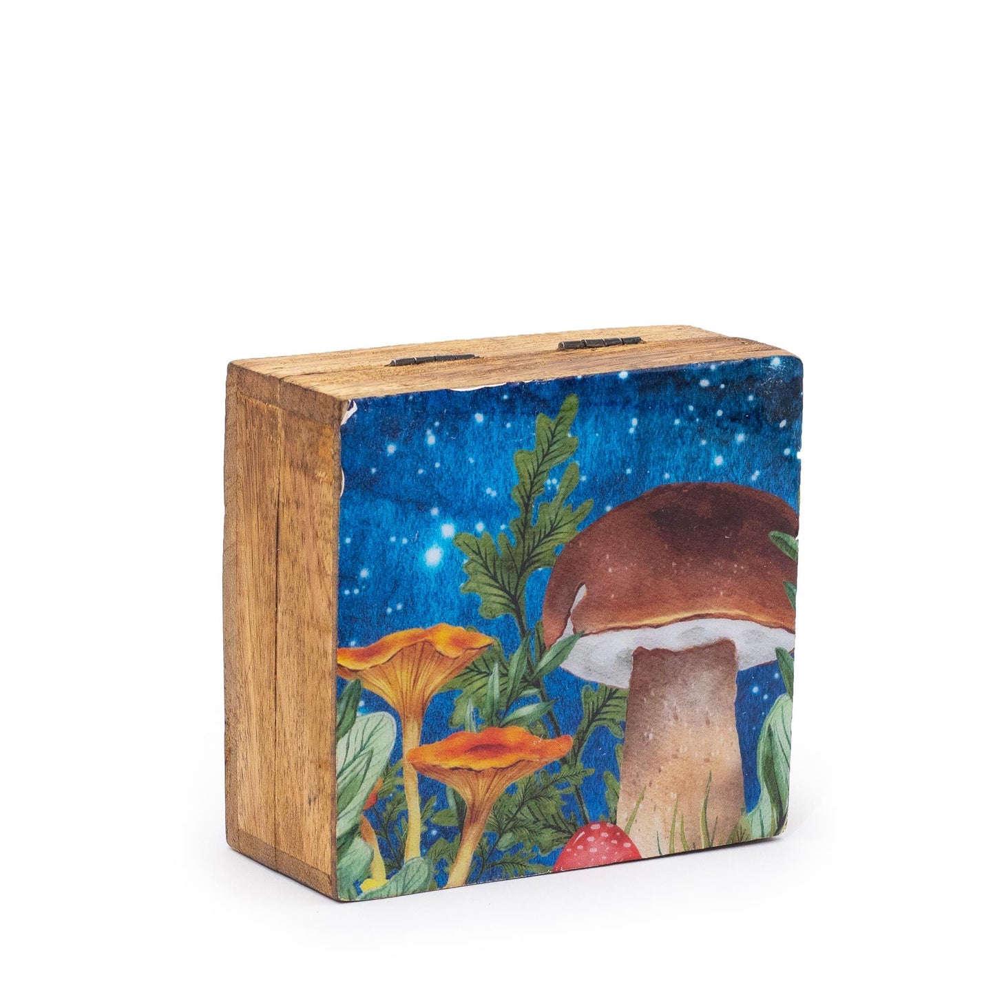 Handbemalte Mangoholz-Box mit Pilzmotiv in Petrol
