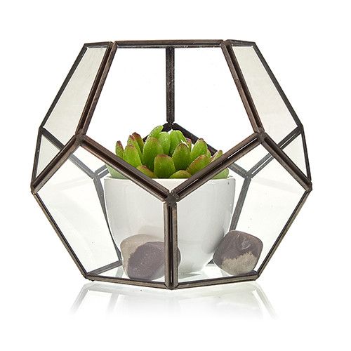 Großes Glas-Terrarium im Achteck-Design mit Messingrahmen