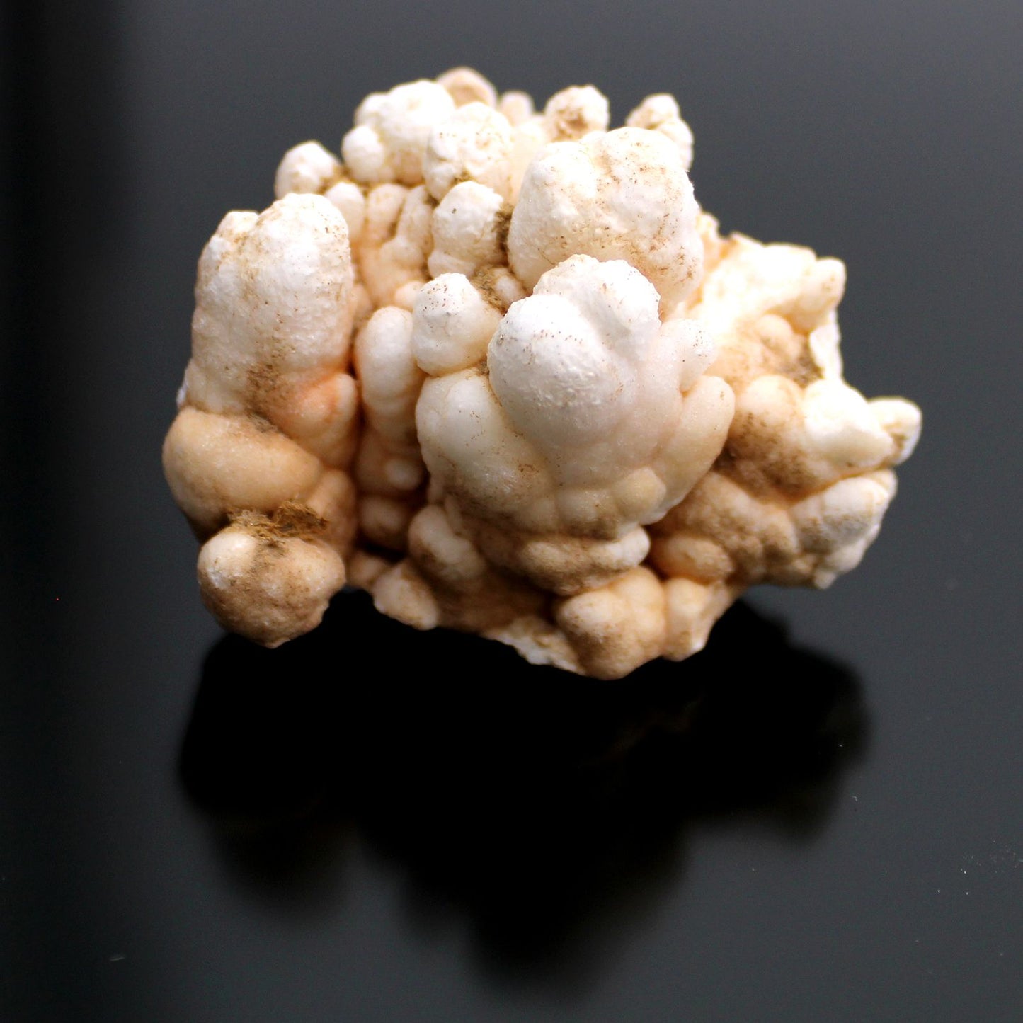 Blütencalcit Sammlerstücke - 20 natürliche Mineralien in Blütenform