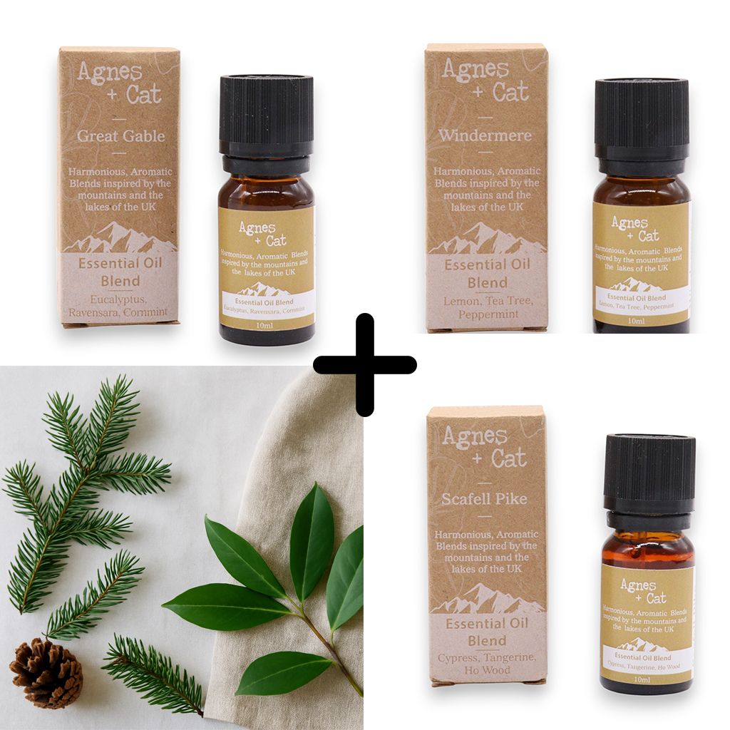 Forest Retreat Set – 3 ätherische Öl-Mischungen für innere Ruhe