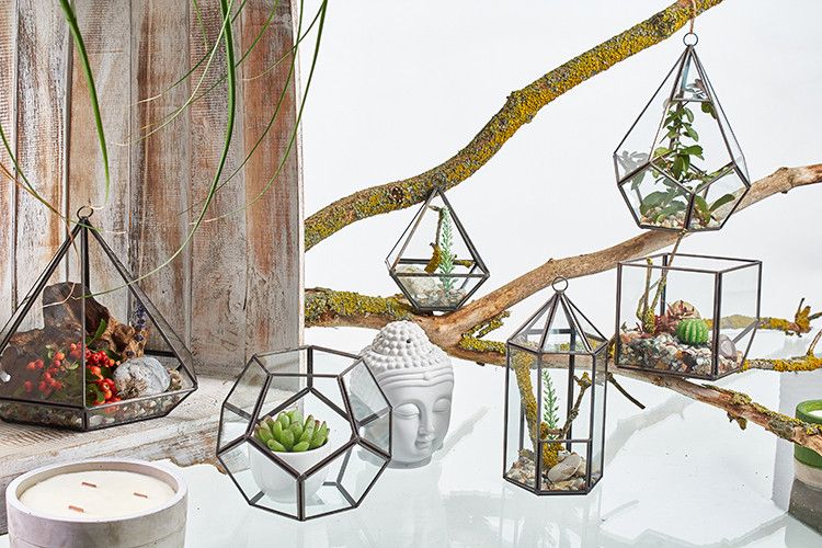 Großes Glas-Terrarium im Achteck-Design mit Messingrahmen