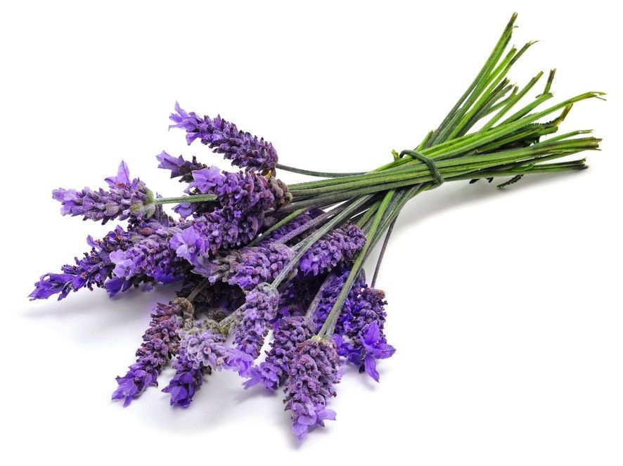 Festes Shampoo mit Lavendel & Rosmarin – Natürliche Haarpflege