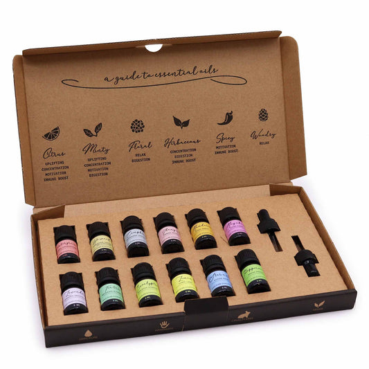Premium Aromatherapie Set Einsteiger – 12 naturreine ätherische Öle