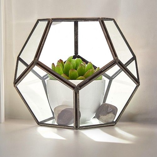 Großes Glas-Terrarium im Achteck-Design mit Messingrahmen