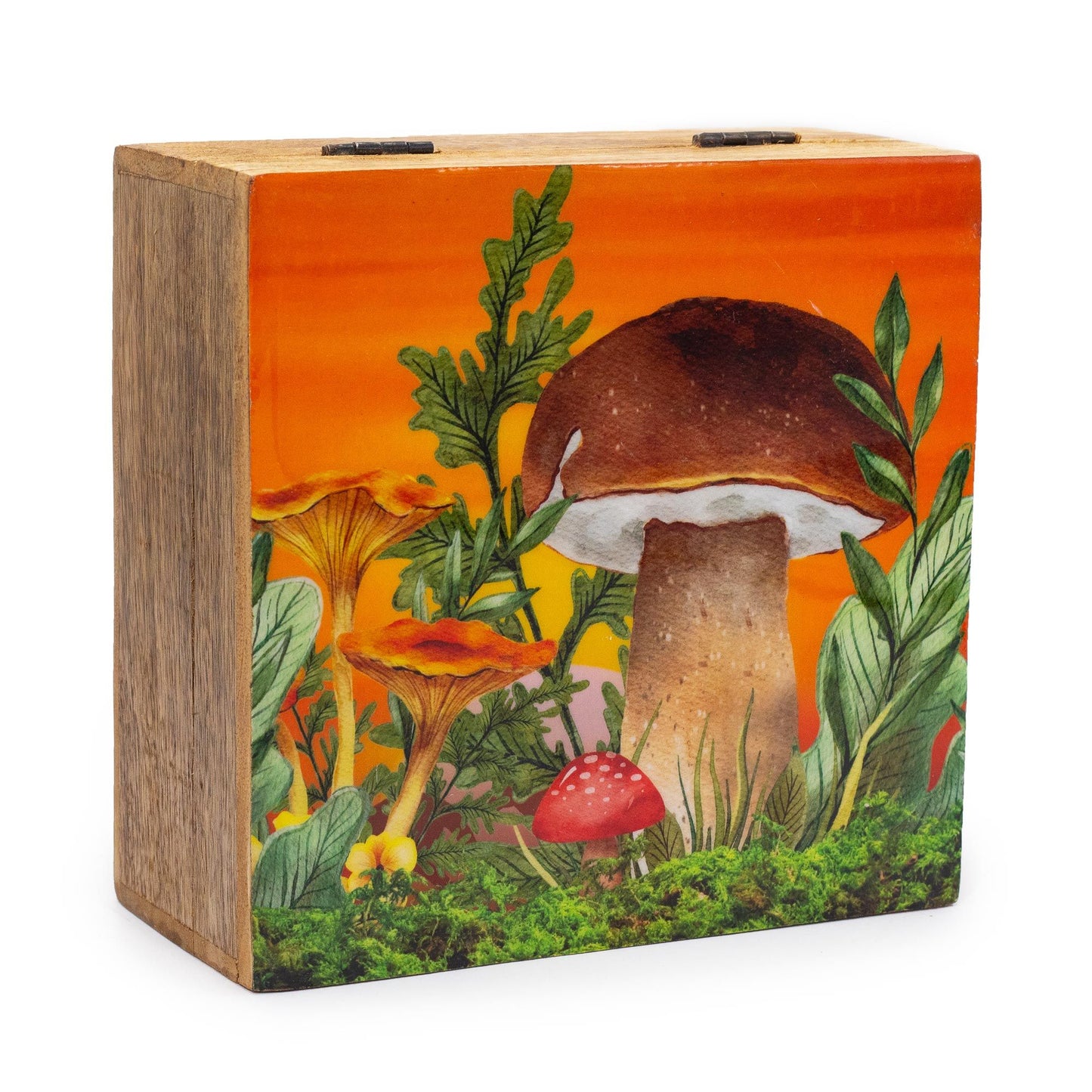 Emaillierte Mangoholz-Box 'Träumerischer Pilzwald' - 15 x 17,5 x 8 cm