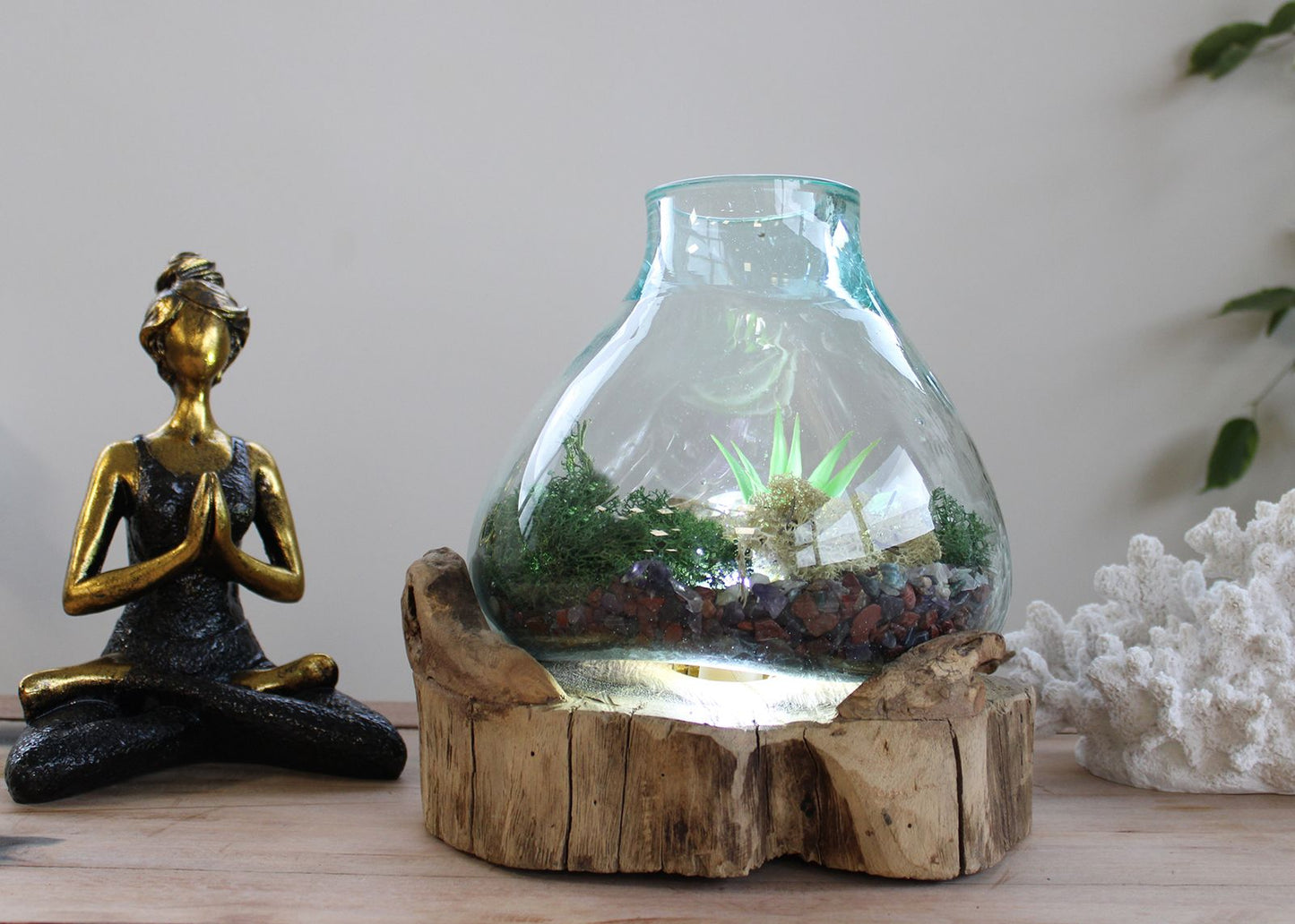 Terrarium mit LED-Beleuchtung – Handgeblasenes Glas auf Wurzelholz