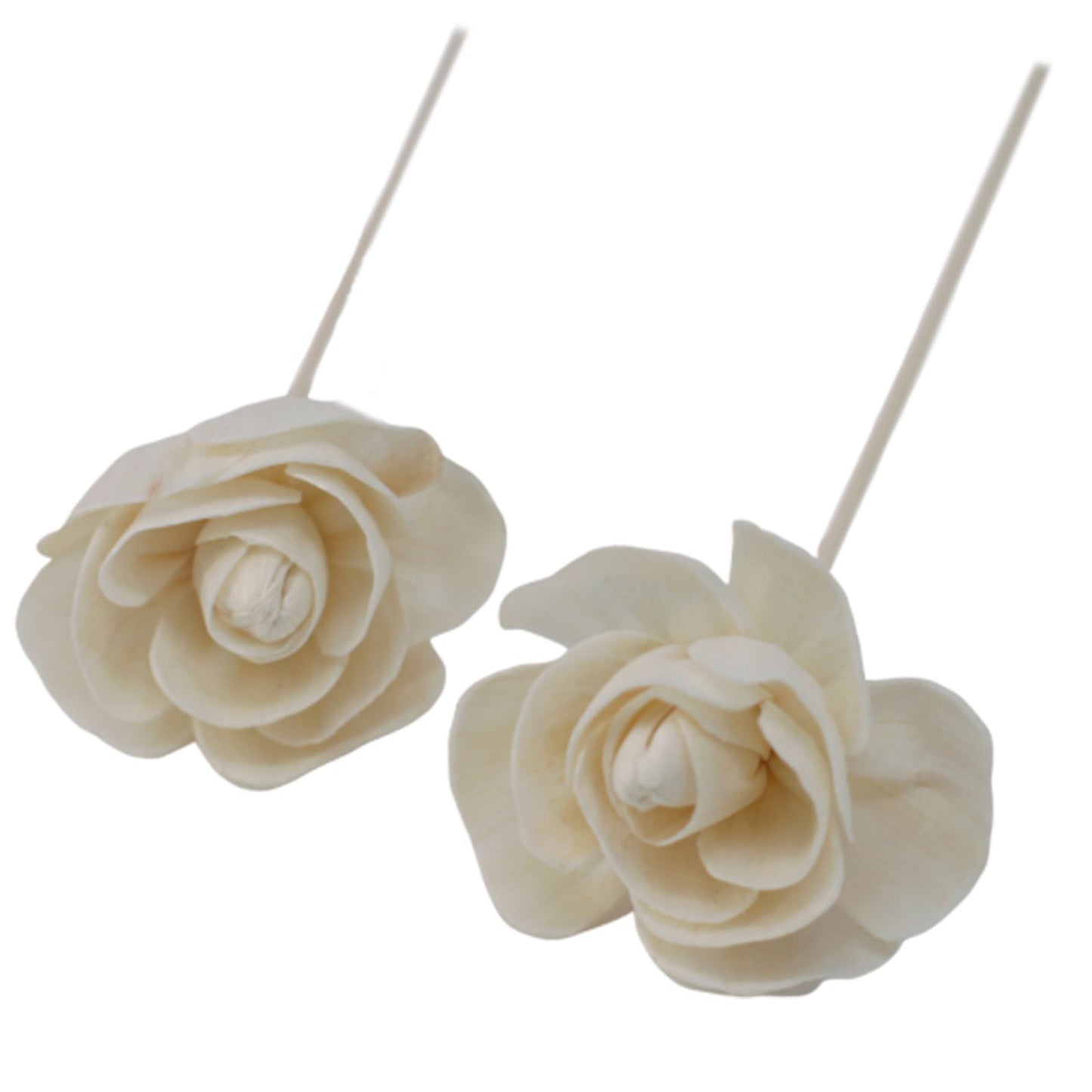 Natürliche Duftblüte Rose aus Solaholz mit Schilfstäbchen